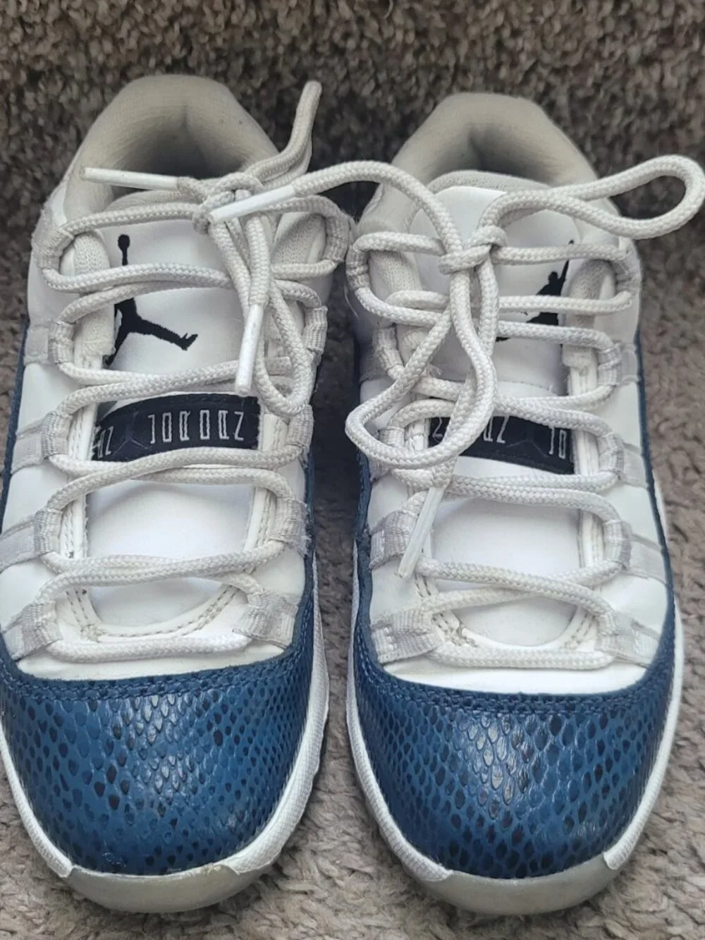 Jordan 11 snakeskin